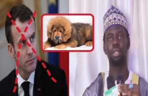Le petit Fils De Baye Niass: Macron Na bayi diiné l’ Islam bi Si non.